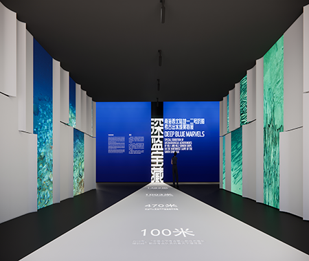 展覽類型：專題展覽展覽位置：中國(guó)（海南）南海博物館6號(hào)展廳深藍(lán)寶藏——南海西北陸坡一二號(hào)沉船考古成果特展展覽緊緊圍繞兩處沉船遺址的發(fā)現(xiàn)、調(diào)查、初步研究成果、拓展延伸、文物保護(hù)等方面，精選兩處沉船遺址考古出水文物約408件（套），并向故宮博物院等五家文博單位借展相關(guān)文物34件（套），共計(jì)約442件（套），配以圖文版面、情境設(shè)計(jì)、文物保護(hù)過(guò)程展示等手段，讓人通過(guò)珍貴的出水文物、水下影像和考古故事，了解南海水下考古的重要發(fā)現(xiàn)，感受古代海上絲綢之路的歷史魅力。 點(diǎn)擊進(jìn)入